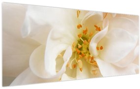 Obraz - Kvet (120x50 cm)