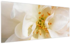Obraz - Kvet (120x50 cm)