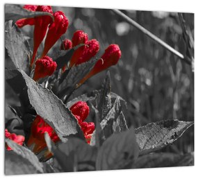 Červené kvety - moderné obrazy