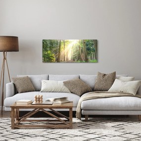 Obraz cestičky v lese (120x50 cm)