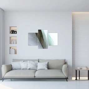 Obraz - Perie, makro (90x60 cm)