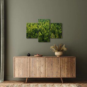 Obraz - Hustý les (90x60 cm)