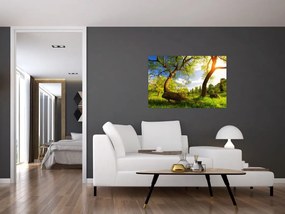 Obraz jarnej lúky (90x60 cm)