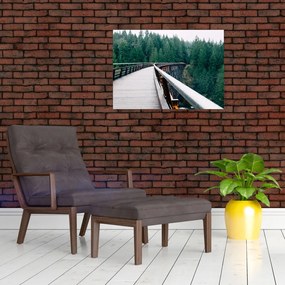 Sklenený obraz - Most k vrcholkom stromov (70x50 cm)
