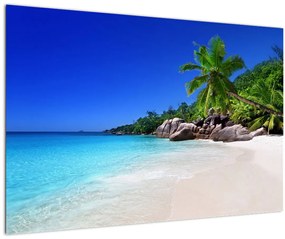 Obraz pláže na Praslin ostrove (90x60 cm)