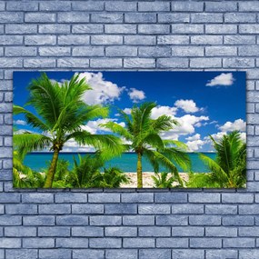 Obraz plexi More palma stromy príroda 120x60 cm