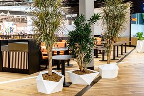 Kvetináč Vesari biely