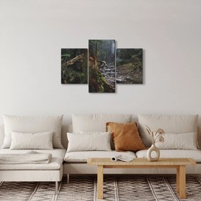 Obraz - V lese (90x60 cm)