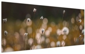 Obraz - Lúka s cottongrass N⁰2 (120x50 cm)