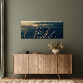 Obraz tráv (120x50 cm)