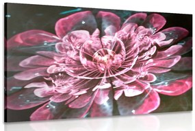 Obraz magický ružový kvet - 120x80