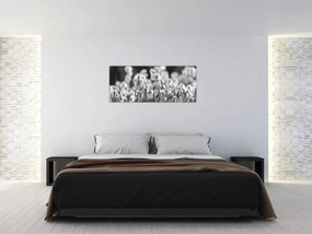 Obraz - Letná lúka (120x50 cm)