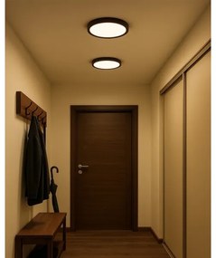 LED stropné svietidlo LED/24W/230V 3000/4000/6500K pr. 30 cm hnedé