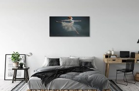 Obraz canvas balerína dym 120x60 cm