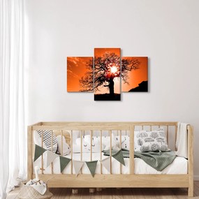 Obraz - Dub pri západe slnka (90x60 cm)