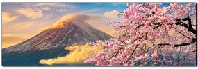 Obraz na plátne - Hora Fuji a čerešňové kvety na jar - panoráma 5266A (105x35 cm)