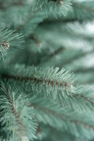 Limpol Jedľa Renáta silver 180 cm