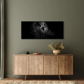Obraz - Sova, ilustrácie (120x50 cm)