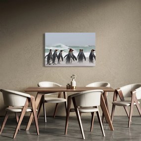 Obraz tučniakov pri oceáne (90x60 cm)