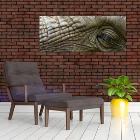 Obraz - Detailné fotografie starého slonieho oka (120x50 cm)