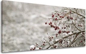 Obraz na stenu PANORÁMA STROMY ST007E13