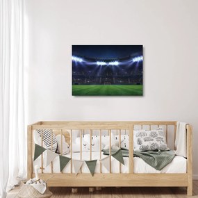Sklenený obraz - Futbalový štadión (70x50 cm)