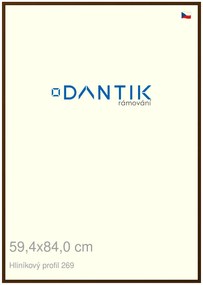 DANTIK rám na obraz 59,4x84 | ALU Hnědá umbra broušená (Plexi Čiré)