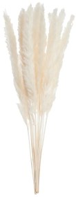 FLOWER MARKET Zväzok pampovej trávy 30 cm