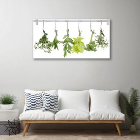 Skleneny obraz Listy príroda byliny 100x50 cm