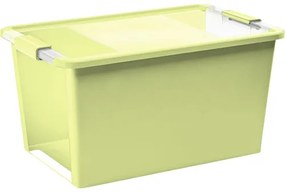 Úložný box Bi box L zelený 40 l