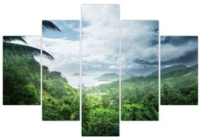 Obraz - Seychelská jungle (150x105 cm)