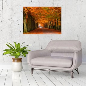 Obraz - Jeseň Alej stromov (70x50 cm)