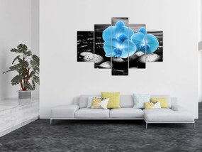 Obraz - Modrá orchidea (150x105 cm)