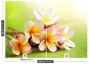 Fototapeta Vliesová Kríky kvety 104x70 cm