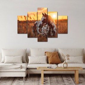 Obraz - Kôň pri západe slnka (150x105 cm)