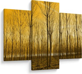 Obraz lesa pri západe slnka (90x60 cm)