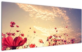 Obraz - Lúka s kvetmi (120x50 cm)