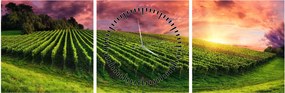 Obraz vinice s farebným nebom (s hodinami) (90x30 cm)