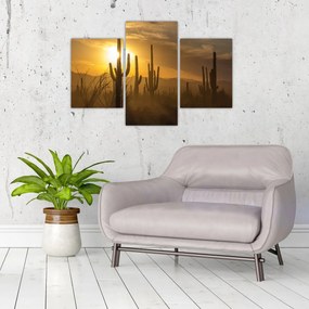 Obraz - Kaktusy Saguaro (90x60 cm)