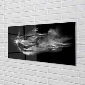 Sklenený obraz Žena baletné dymové šedé pozadie 100x50 cm