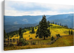 Obraz - Horská lúka (90x60 cm)