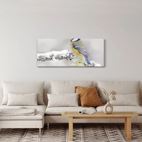 Obraz - Sýkorka (120x50 cm)
