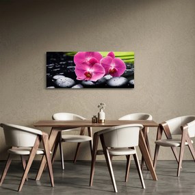 Obraz - Ružové orchidey s palmovým listom (120x50 cm)