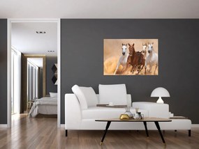 Obraz - Stádo koní (90x60 cm)
