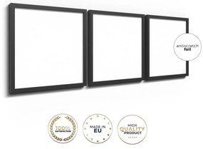 Obrazy v súprave 3 ks 30x30 cm Pampas – Styler