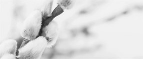 Obraz - Začiatok jari (120x50 cm)
