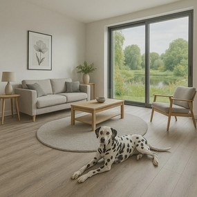 Egibi, Vinylová podlaha lepená Canadian Design Regina DRY BACK, 914,4x152,4 mm