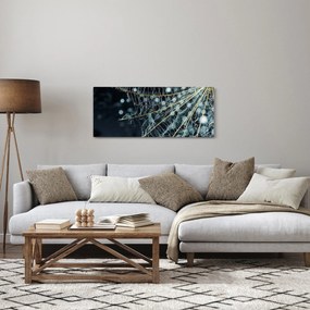 Obraz -Kvet s pavučinou (120x50 cm)