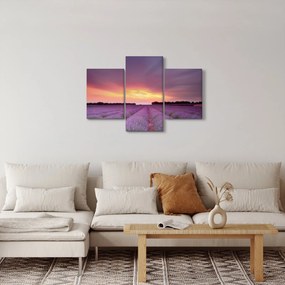 Obraz - Levanduľové pole (90x60 cm)