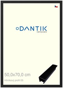 DANTIK rám na obraz 50x70 | ALU Černá matná (Plexi Čiré)